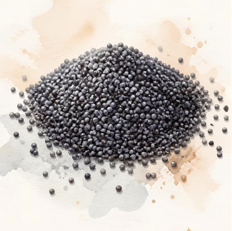 Visual reference: a poppy seed