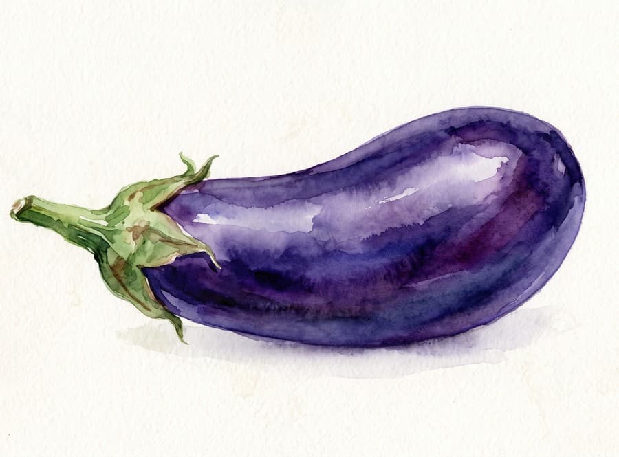 Visual reference: a large eggplant